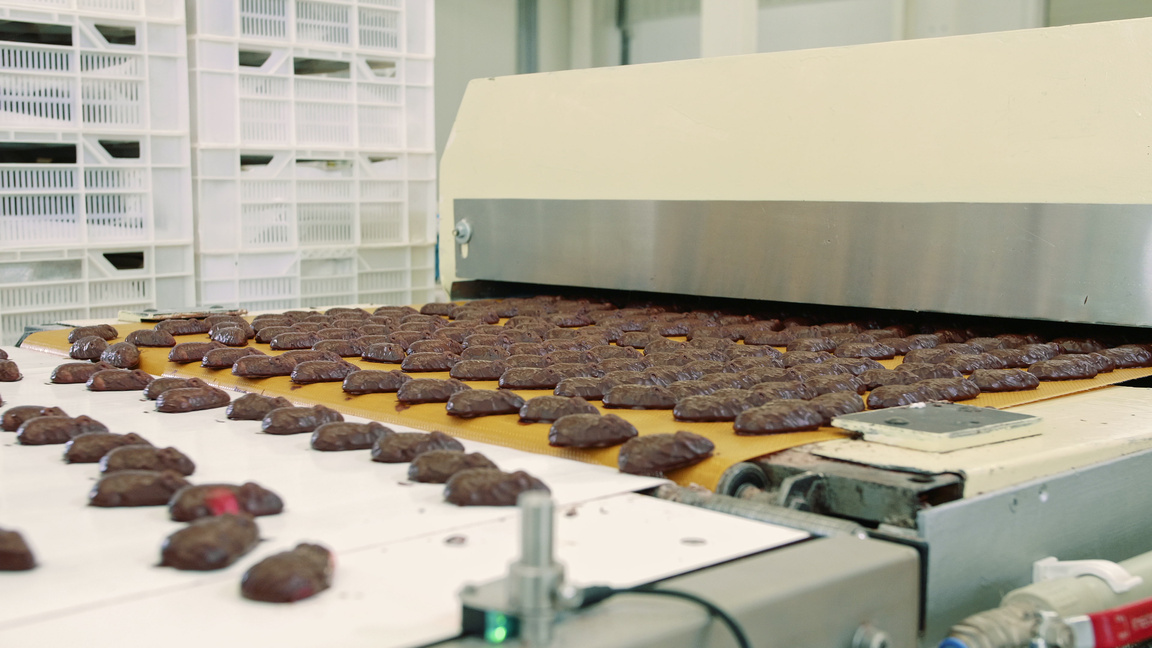 Chocolate candies lying on conveyor. Candy factory
